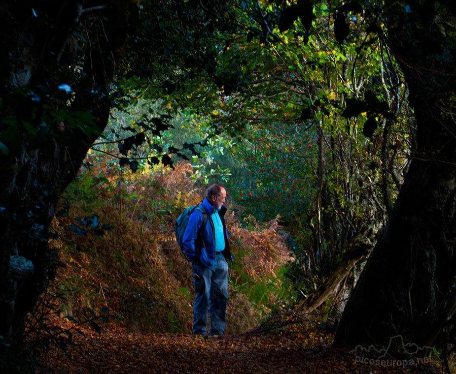 Camino de la Vega de La Ablanosa. Parque Natural de Redes, Asturias