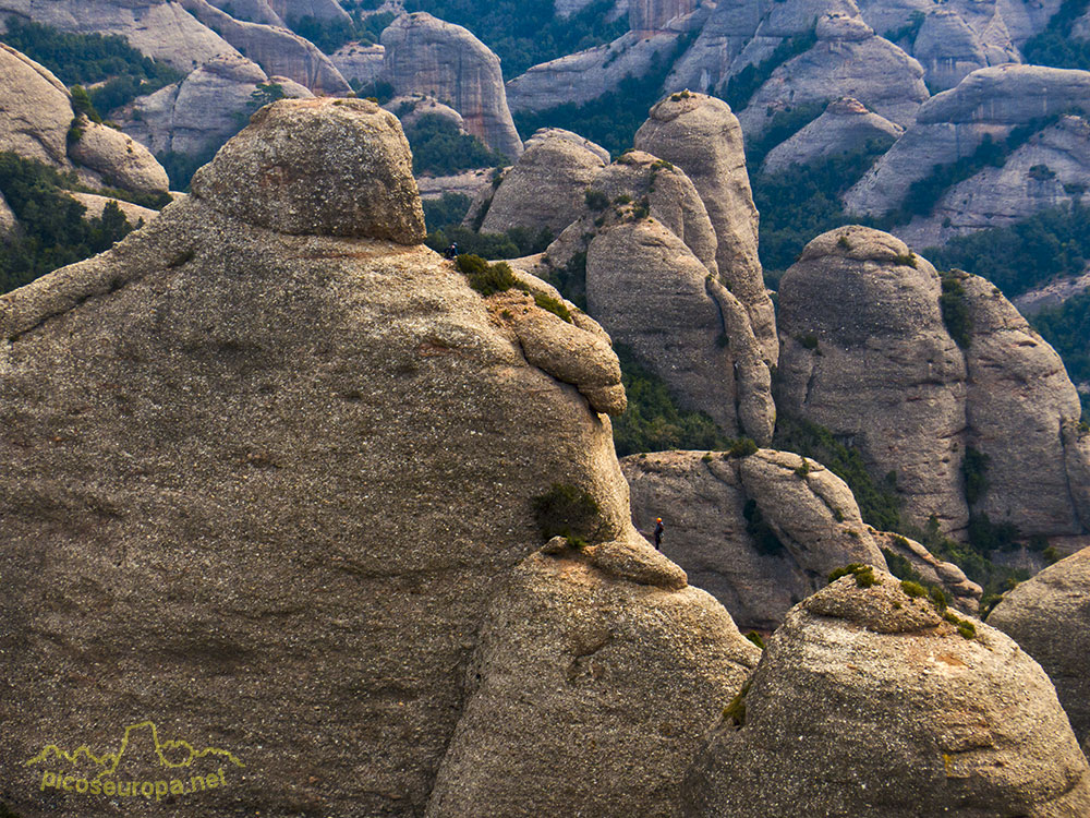 Foto: Agulles de Montserrat, Catalunya