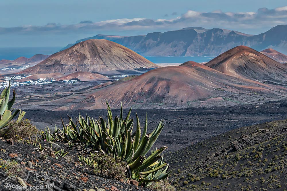 Risco de Famara desde la cumbre de los Miraderos, Lanzarote, Canarias, España