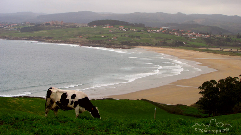 Playa de Oyambre, San Vicente de la Barquera, Cantabria