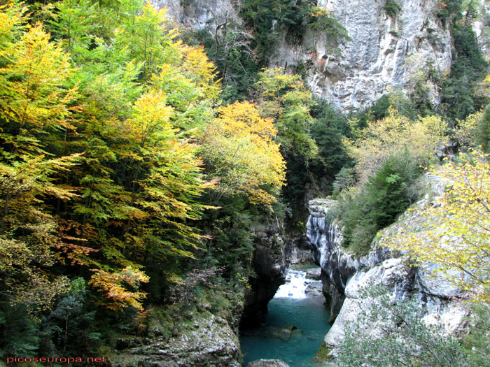 Foto: Otoño en el desfiladero del río Beyos, Pirineos de Huesca, Aragón