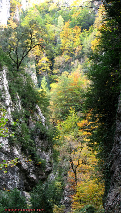 Desfiladero del río Beyos, Pirineos, Huesca, España
