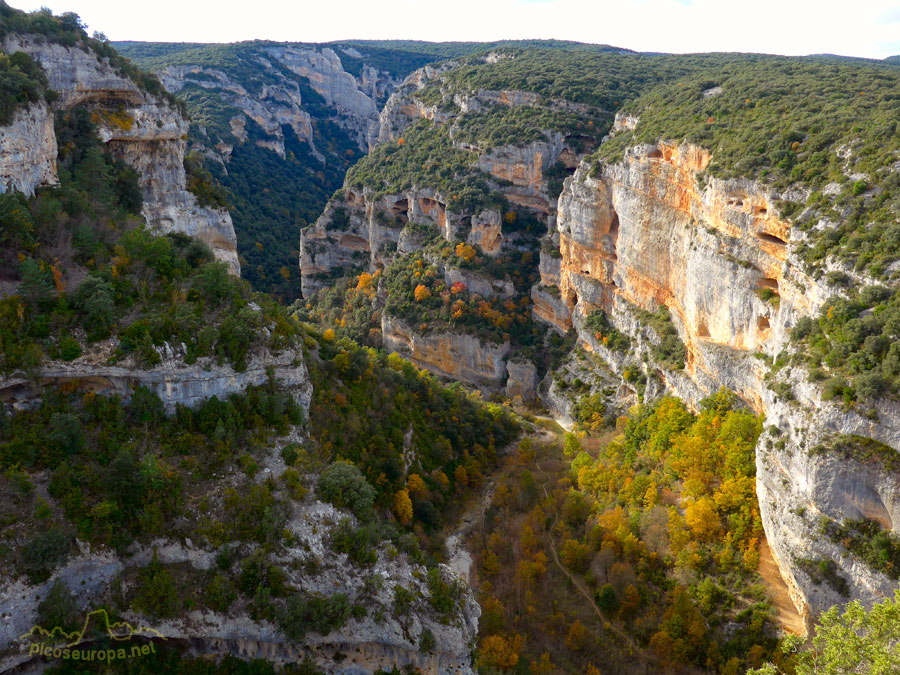 Foto: Otoño en el Desfiladero del rio Vero desde los miradores del Tozal de Mallata en Guara, Pre Pirineos de Huesca.