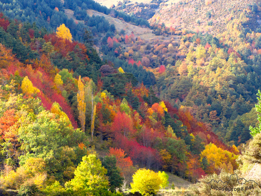 Foto: Otoño en Linas de Broto, Pirineos de Huesca, Aragón