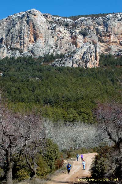 En el camino de Anies hacia el Cerro de la Virgen, Huesca, Aragón