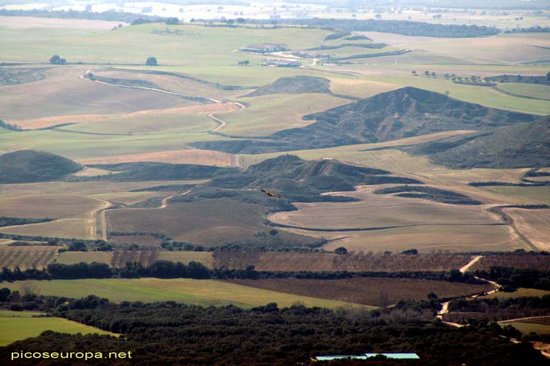 los llanos de Huesca de la enorme Hoya de Huesca con sus campos de cereal