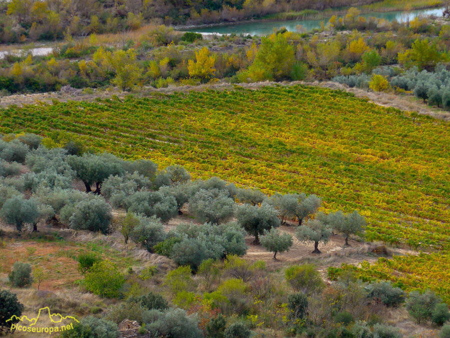 Campos de cereal alrededor de Berdun, La Jacetania, Pre Pirineos de Huesca, Aragon