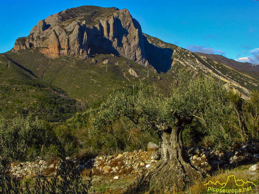 Foto: Peña Rueba situada encima de Murillo, Pre Pirineos de Aragón