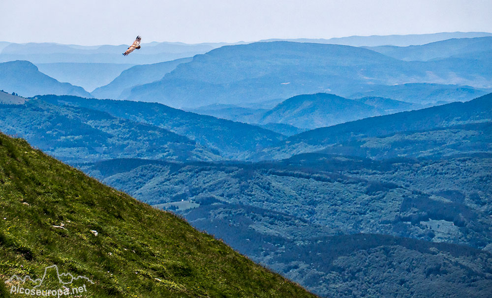 Foto: Desde la ruta de subida al Pico Orhi, Pirineos de Navarra