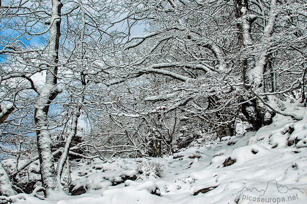 Foto: Invierno en el Parque Natural de Urbasa y Andia, Navarra