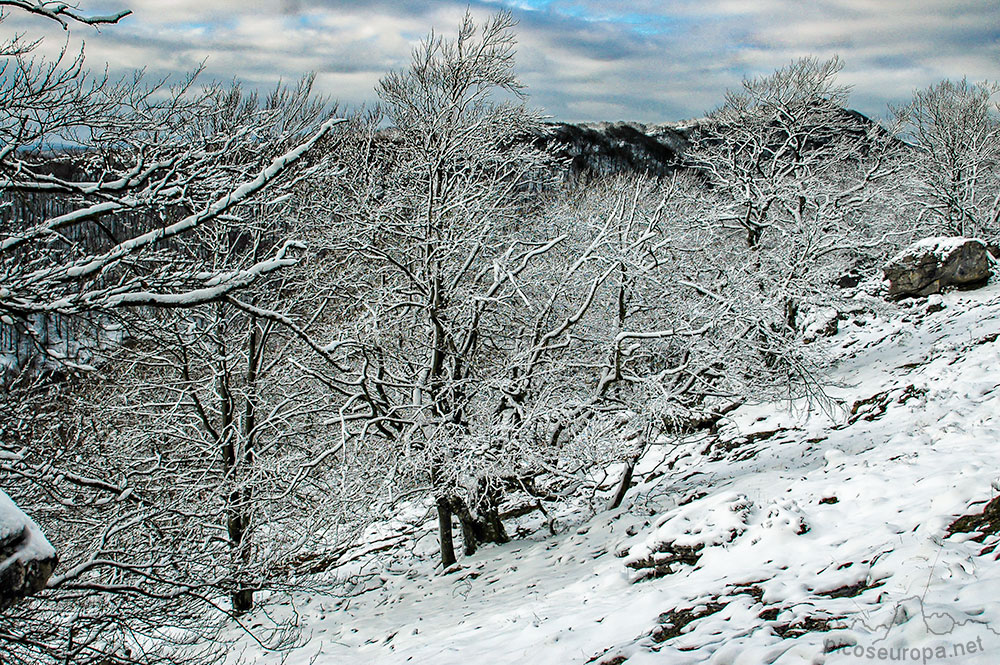 Foto: Invierno en el Parque Natural de Urbasa y Andia, Navarra