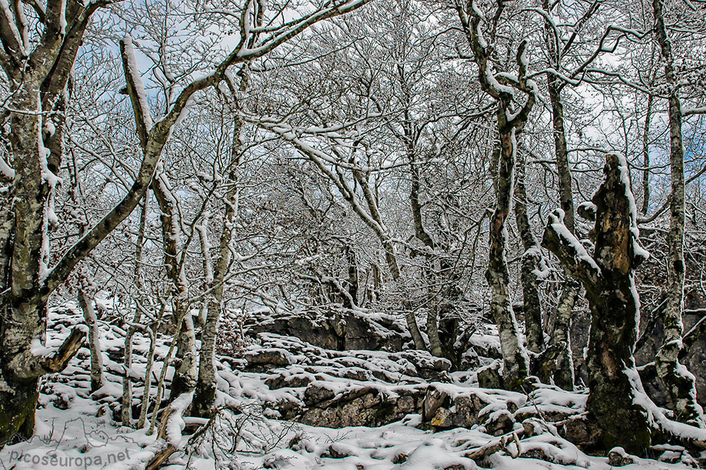 Foto: Invierno en el Parque Natural de Urbasa y Andia, Navarra