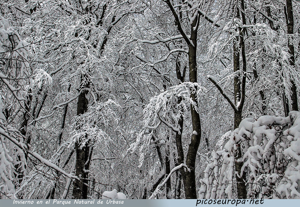 Foto: Invierno en el Parque Natural de Urbasa y Andia, Navarra