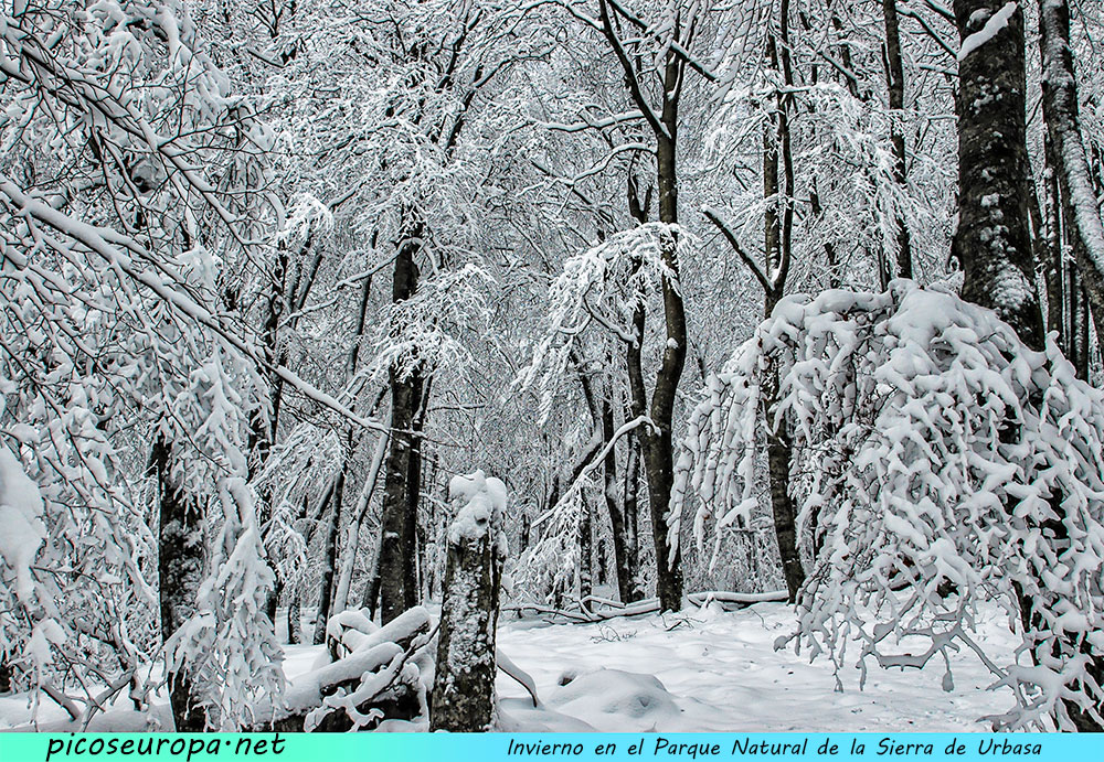 Foto: Invierno en el Parque Natural de Urbasa y Andia, Navarra