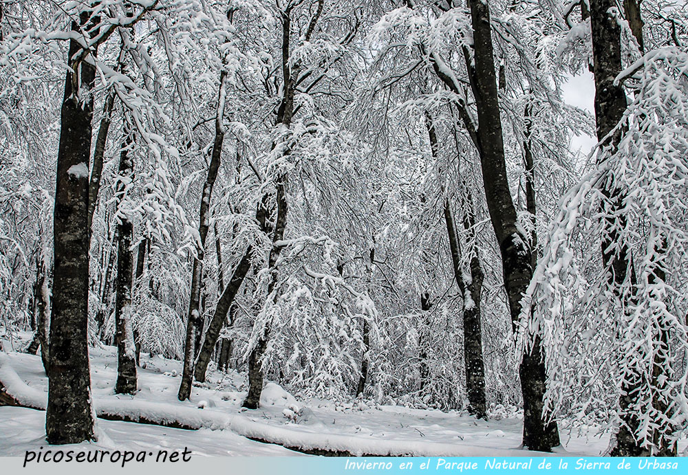 Foto: Invierno en el Parque Natural de Urbasa y Andia, Navarra