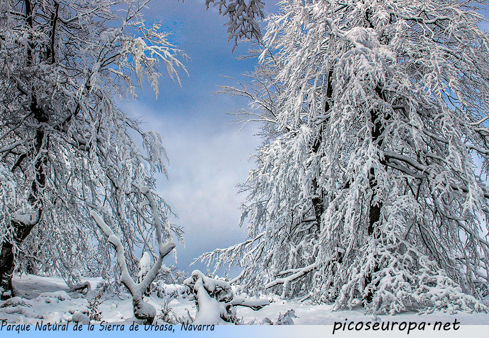 Foto: Invierno en el Parque Natural de Urbasa y Andia, Navarra