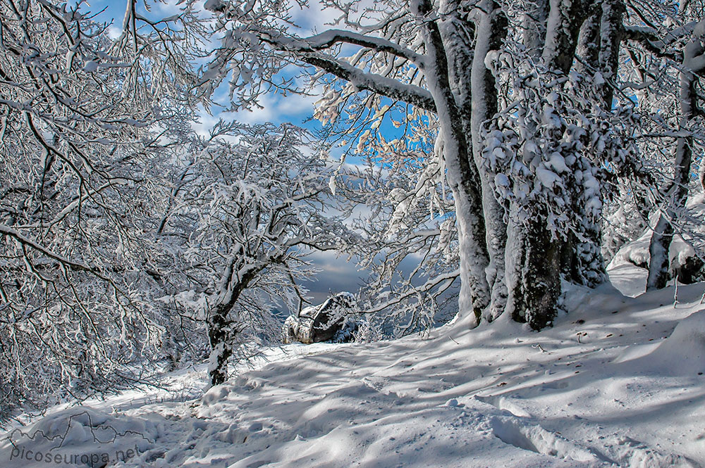 Parque Natural de la Sierra de Urbasa y Andia, Navarra, España