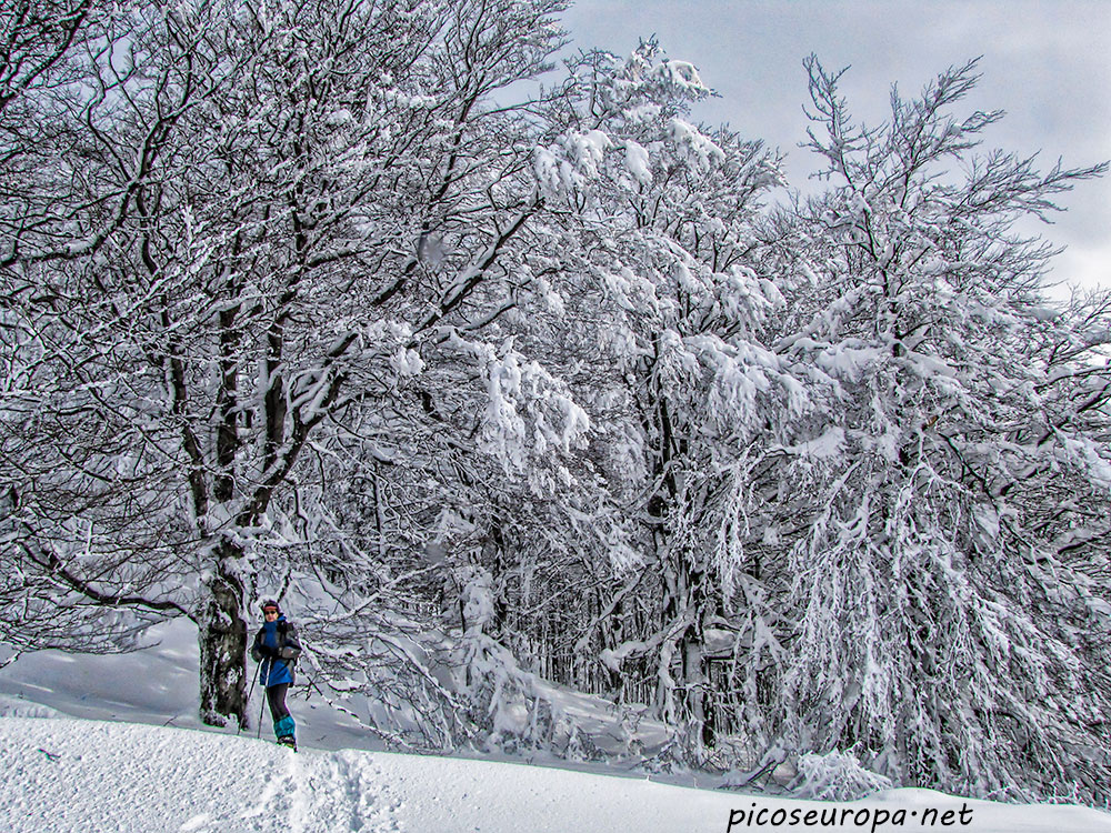 Foto: Invierno en el Parque Natural de Urbasa y Andia, Navarra