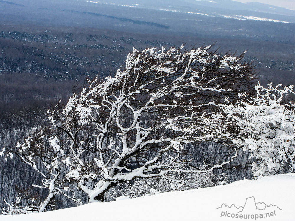 Foto: Invierno en el Parque Natural de Urbasa y Andia, Navarra