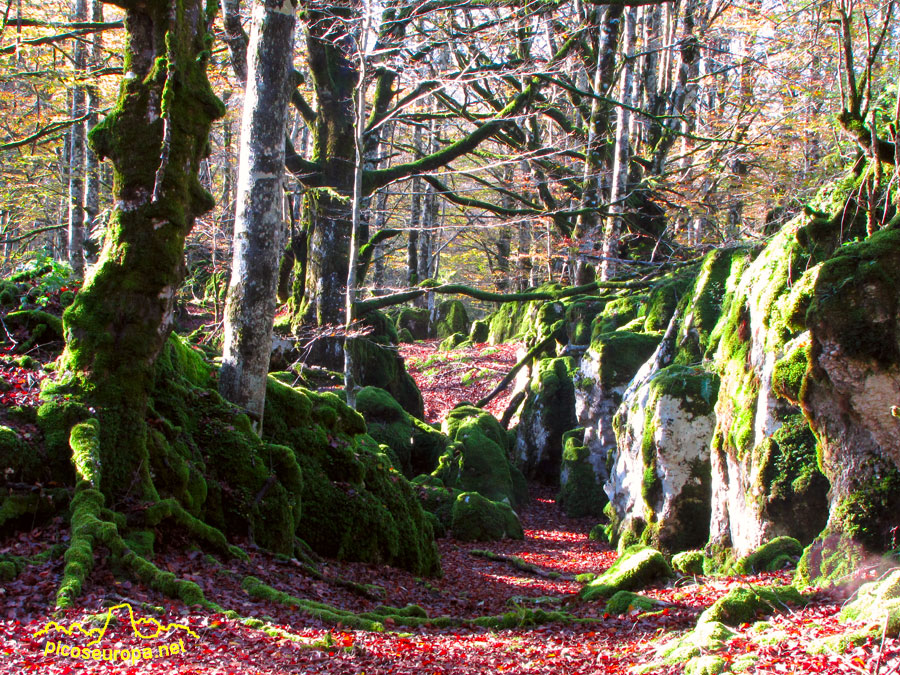 Parque Natural de Urbasa y Andia, Navarra