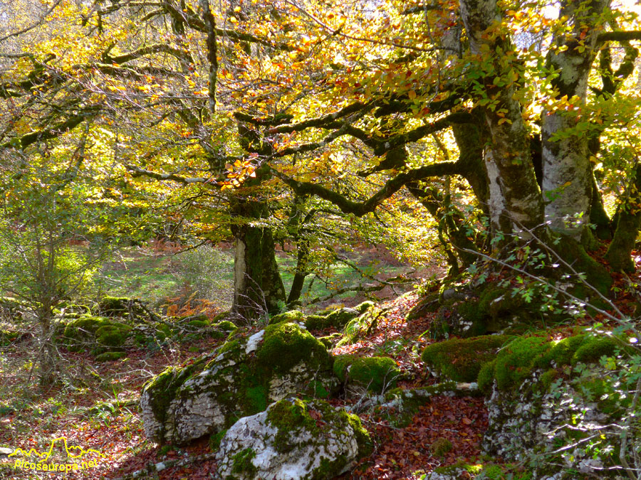 Parque Natural de Urbasa y Andia, Navarra