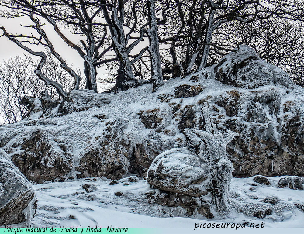 Foto: Invierno en el Parque Natural de Urbasa y Andia, Navarra