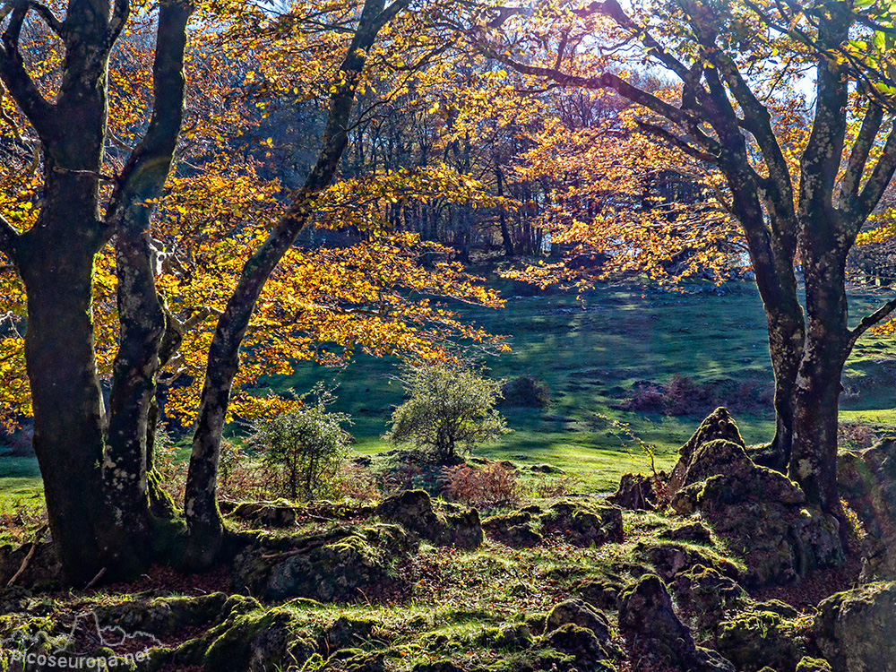 Foto: Parque Natural de Urbasa y Andia, Navarra