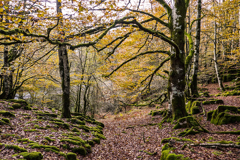 Foto: Parque Natural de Urbasa y Andia, Navarra