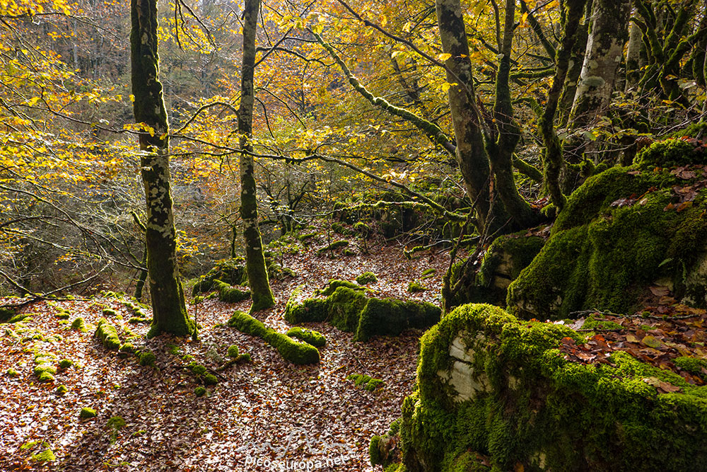 Parque Natural de la Sierra de Urbasa y Andia, Navarra, España