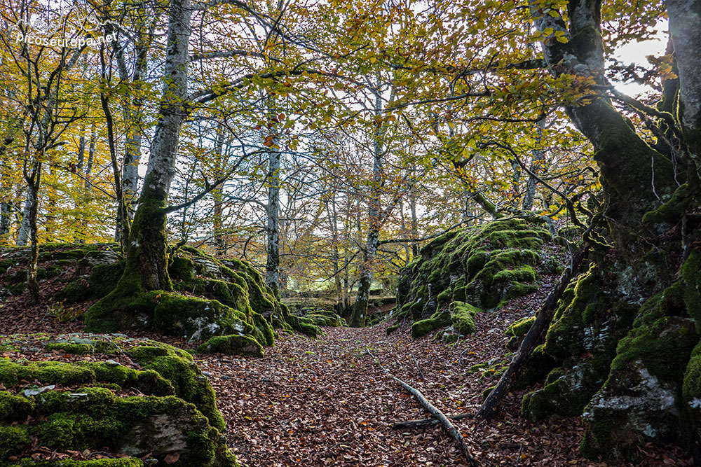 Parque Natural de Urbasa y Andia, Navarra