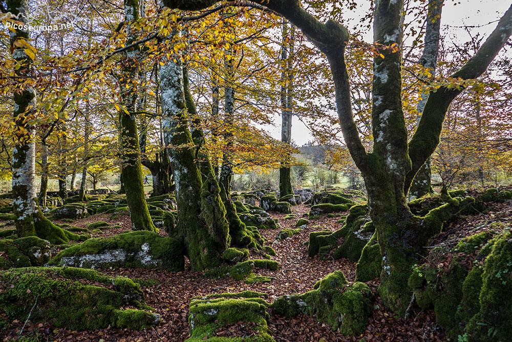 Parque Natural de Urbasa, Navarra