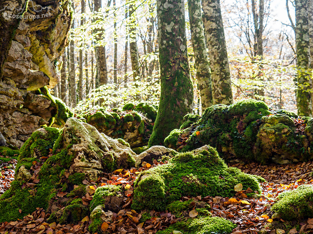 Parque Natural de Urbasa y Andia, Navarra