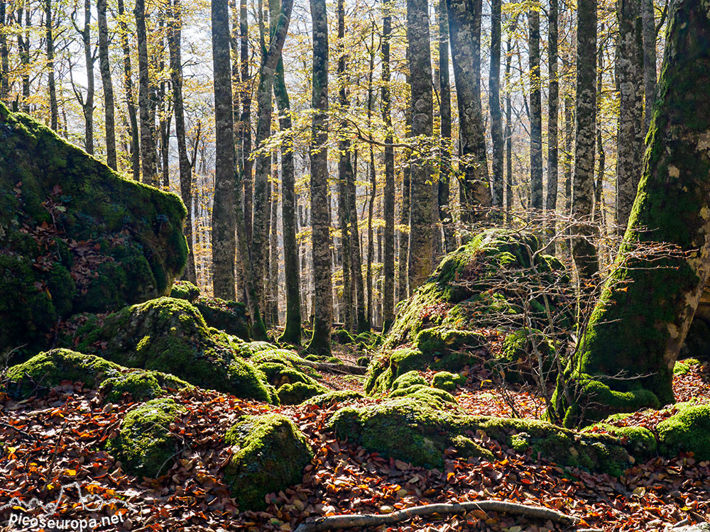 Foto: Parque Natural de Urbasa y Andia, Navarra