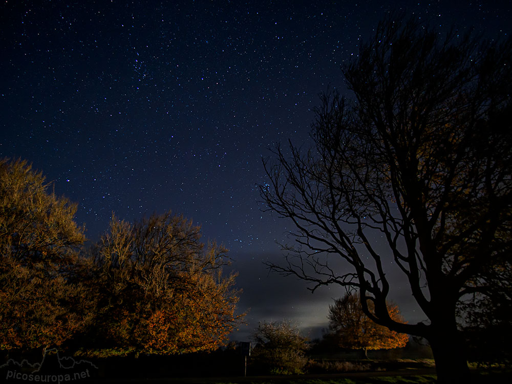 Noche en el bosque de la Sierra de Urbasa, Navarra.