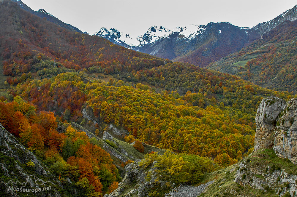 Mirador de Oseja de Sajambre, León, España