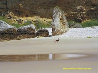 Una cala cerca de San Vicente de la Barquera, Cantabria, soledad, una playa preciosa