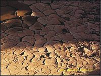 Las Bardenas, Navarra, Espaa