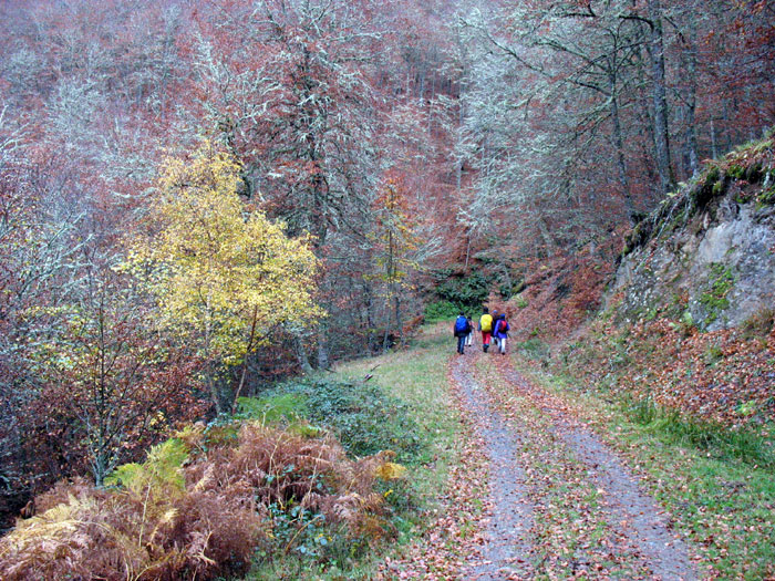 De Panderruedas a Posada de Valdeón, Valdeón, Macizo Occidental de Picos de Europa, León