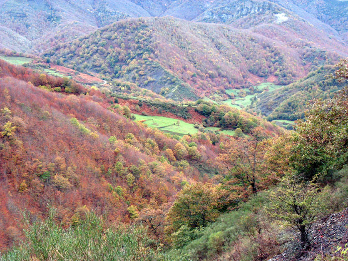 Los valles de Posada de Valden (Len).