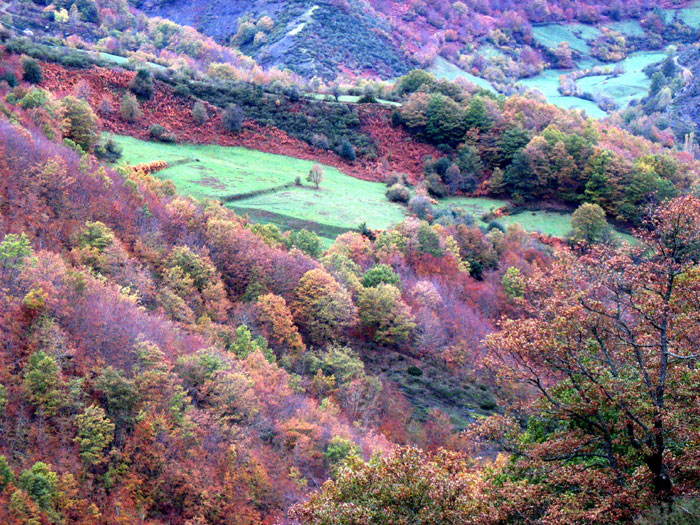 Los valles de Posada de Valden (Len).