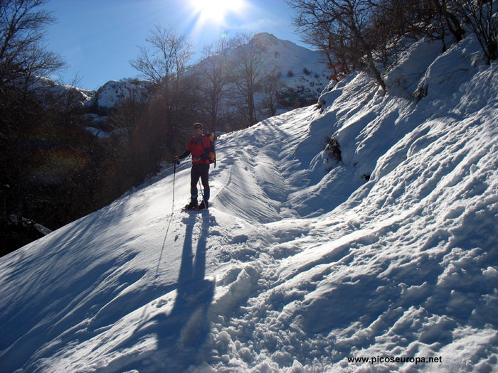 Foto: La pista que sube de Prada a la Majada de Montó, Valdeón, Picos de Europa, León