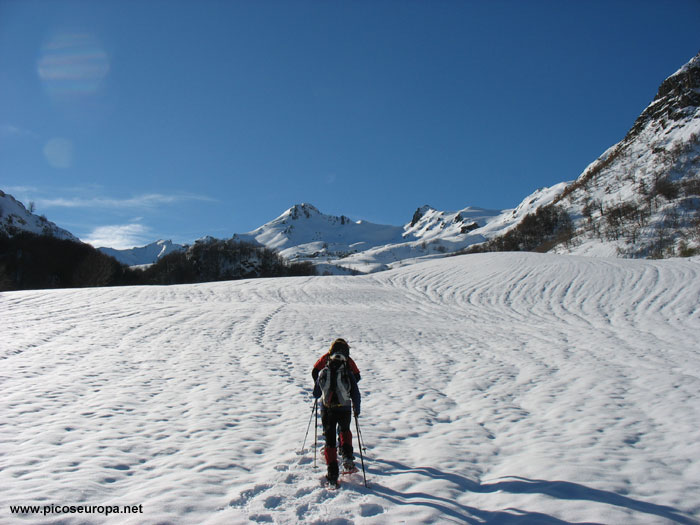 Foto: Praderas en la zona alta de la ruta a la majada de Montó, Valdeón, Picos de Europa, León