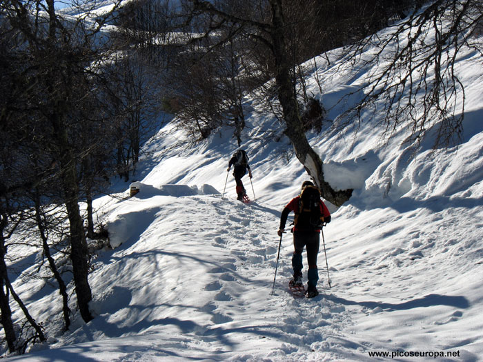 Foto: La pista que sube de Prada a la Majada de Montó, Valdeón, Picos de Europa, León