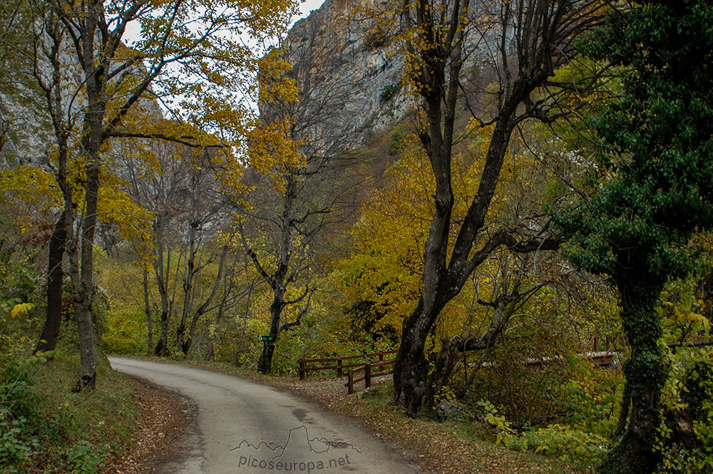 Ruta Posada de Valdeón a Cain, Picos de Europa, León, España