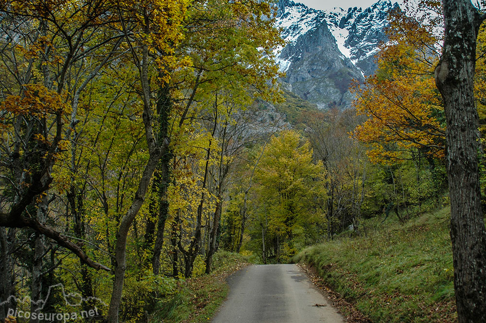 De Posada de Valdeón a Cain, Picos de Europa, León, España